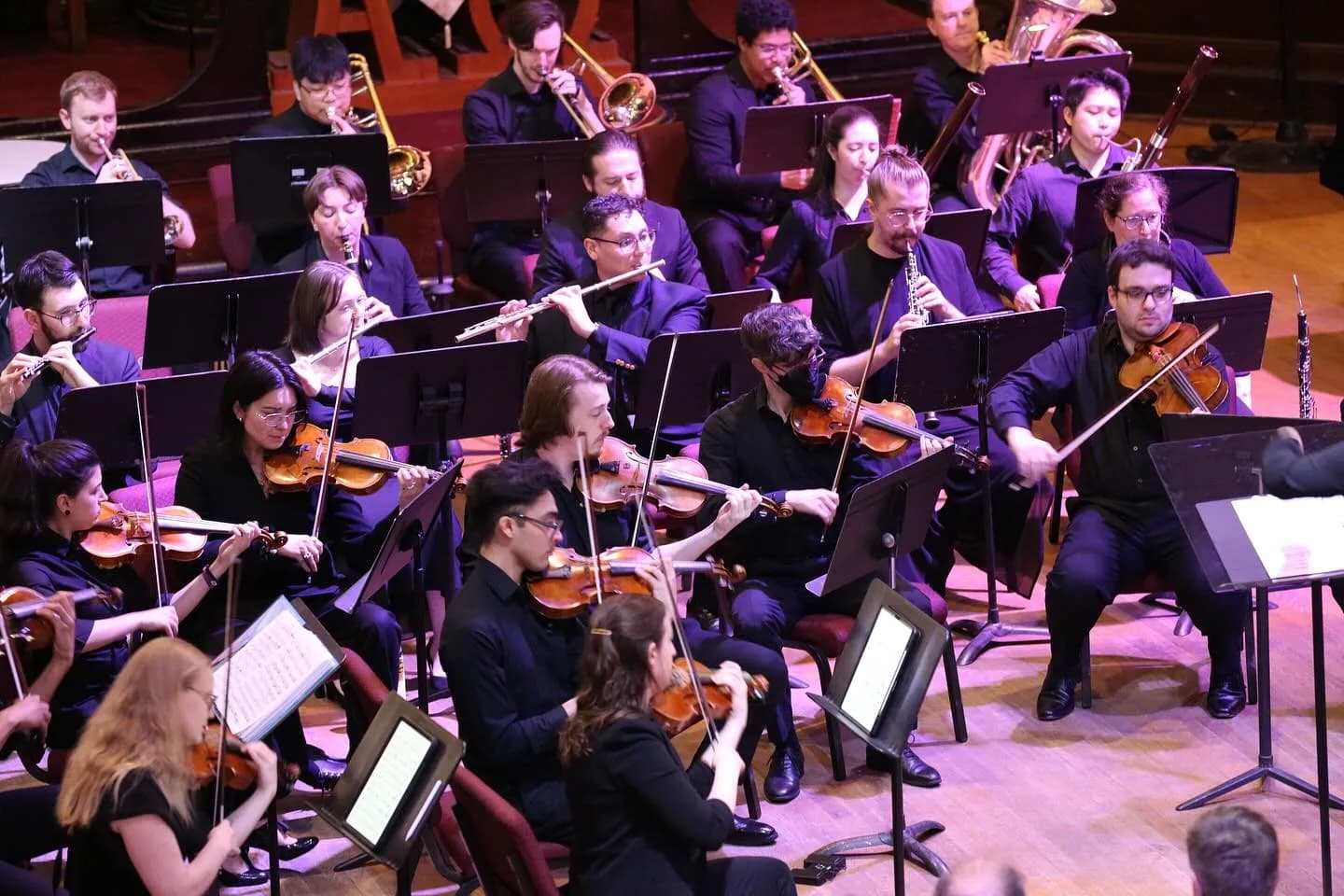 Collegium Musicum New York